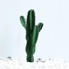 70cm Green Artificial Indoor Cactus Tree Fake Plant Simulation Decorative 5 Heads – 2
