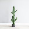 Green Artificial Indoor Cactus Tree Fake Plant Simulation Decorative 6 Heads