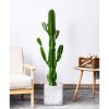 Green Artificial Indoor Cactus Tree Fake Plant Simulation Decorative 6 Heads