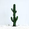 Green Artificial Indoor Cactus Tree Fake Plant Simulation Decorative 6 Heads