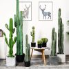 Green Artificial Indoor Cactus Tree Fake Plant Simulation Decorative 6 Heads
